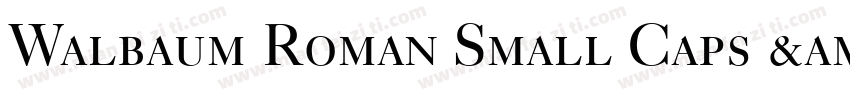 Walbaum Roman Small Caps & Oldstyle Figures字体转换